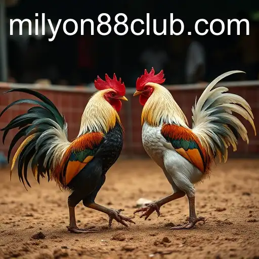 The Intricate World of Cockfighting and Its Connection with Milyon88